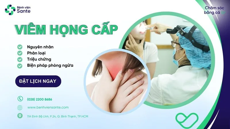 Viêm họng cấp là gì? Nguyên nhân, triệu chứng và cách phòng ngừa